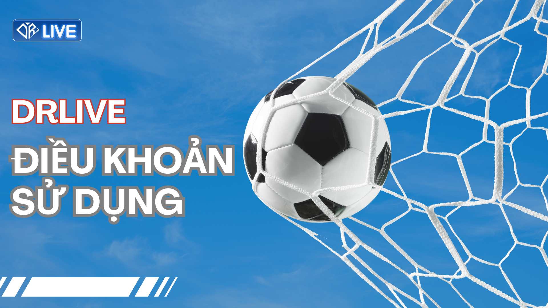 Điều Khoản Sử Dụng Drlive