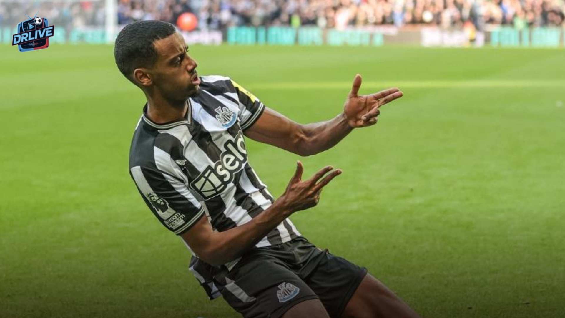 Tổng quan trận đấu Auckland vs Newcastle Jets